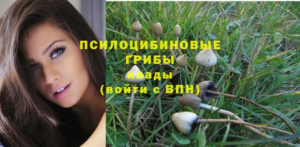СК Козловка