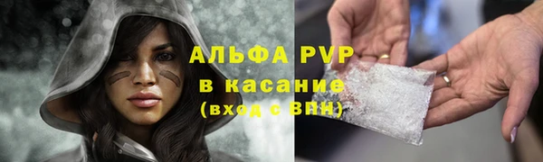 СК Козловка