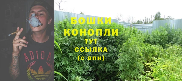 спайс Кодинск