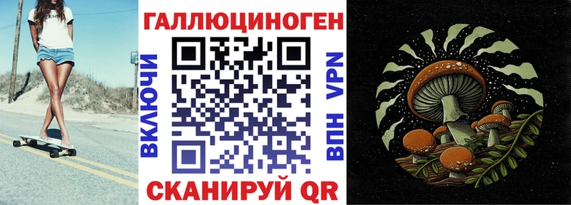 Купить  Венёв  Псилоцибиновые грибы MAGIC MUSHROOMS 